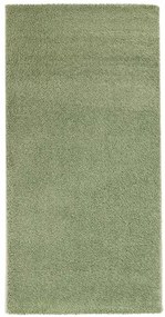 Koberce Breno Kusový koberec DOLCE VITA 01/AAA, zelená,120 x 170 cm
