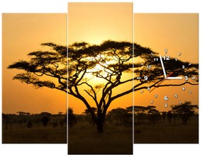 Gario Obraz s hodinami Akácia v Serengeti - 3 dielny Rozmery: 30 x 90 cm