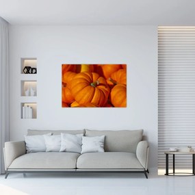Obraz - Veľké tekvice (90x60 cm)