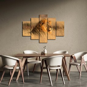 Obraz - Národný park Etosha (150x105 cm)
