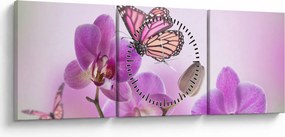 Obraz - Motýľ na kvetoch orchidey, lila (s hodinami) (90x30 cm)
