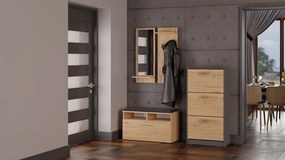 Botník (skrinka na topánky) Permanente 1 (antracit + dub artisan). Akcia -22%. Vlastná spoľahlivá doprava až k Vám domov. 1132588