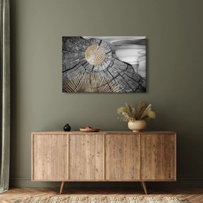 Obraz - Kmeň stromu v koláži (90x60 cm)