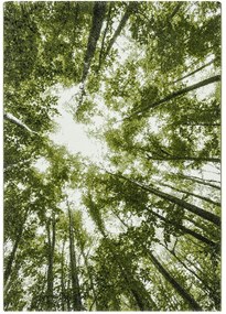 Koberce Breno Kusový koberec BELIS 22103/40, zelená, viacfarebná,200 x 290 cm