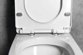 Aqualine Aqualine, VERMET WC sedátko, Soft Close, biela, VRS008