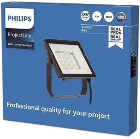 Philips - LED Vonkajší reflektor PROJECTLINE LED/30W/230V IP65 4000K