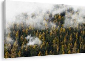 Obraz lesa v mrakoch (90x60 cm)