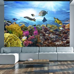 Artgeist Fototapeta - Coral reef Veľkosť: 150x105, Verzia: Premium