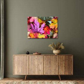 Obraz - jesenné listy (70x50 cm)
