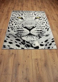 Koberec Kolibri 11368/190 rozmery koberec: 160x230 cm