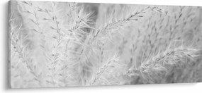 Obraz - Pampas grass N⁰1 (120x50 cm)