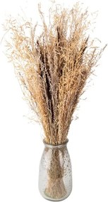 Hnedo-béžová kytica sušených kvetov - 18*6*60 cm