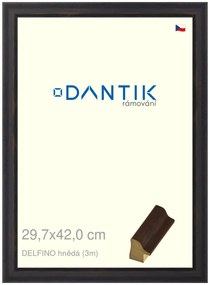 DANTIK rám na obraz 29,7x42 | DELFINO hnědá (Plexi Čiré)