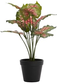 Umelá rastlina (výška 40 cm) Caladium – Light &amp; Living