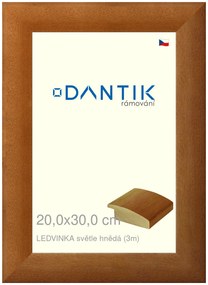 DANTIK rám na obraz 20x30 | LEDVINKA světle hnědá (Sklo Čiré)