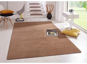 Hnedý koberec 200x280 cm Fancy – Hanse Home
