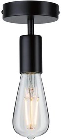 Paulmann 79760 - Stropné svietidlo HALDOR 1xE27/20W/230V