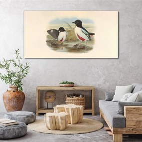 Obraz Canvas Vtáky divoké zvieratá