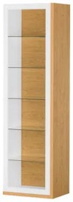 Vitrína Salvo 10 57 cm biela/orech kalifornský