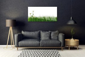 Obraz na skle Burina príroda rastlina 125x50 cm