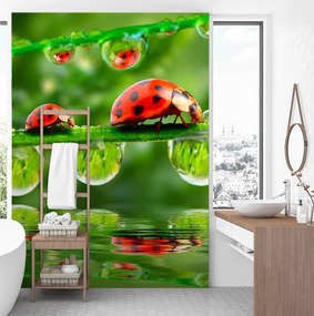 Gario Fototapeta Lienky na vetvách Materiál: Vliesová, Rozmery: 200 x 280 cm