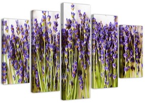 Obraz na plátně pětidílný Levandulové květy příroda - 200x100 cm