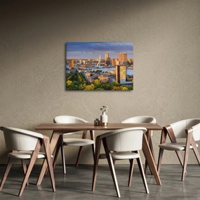 Obraz - Panorama Rotterdamu, Holandsko (70x50 cm)