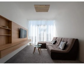 Globo 67347D2 - LED stropné svietidlo HAYDEN LED/30W/230V 3000K 45x45 cm