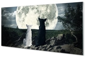 Nástenný panel  Wolves mesiac lesné 125x50 cm