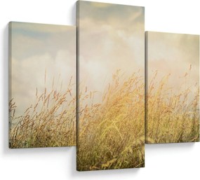 Obraz - Pole na jeseň (90x60 cm)