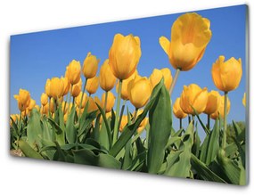 Skleneny obraz Tulipány kvety rastlina 100x50 cm