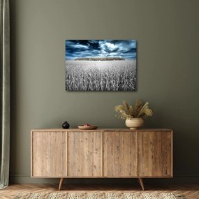 Obraz pole (70x50 cm)