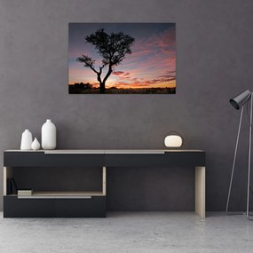 Obraz - Strom a červánky (90x60 cm)