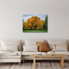 Sklenený obraz stromu (70x50 cm)