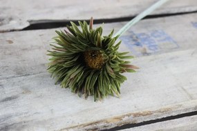 Tmavozelená umelá gerbera 58cm