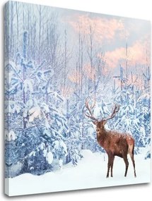 Obraz na stenu ZVIERATÁ_053-12