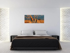 Obraz - Žirafy na pastvine (120x50 cm)
