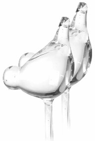 H&S Decoration Zavlažovacia guľa Birds, 40x10 cm, sada 2ks, transparentná