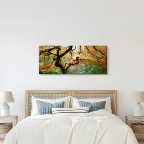 Obraz žltého japonského javora, Portland, Oregon (120x50 cm)