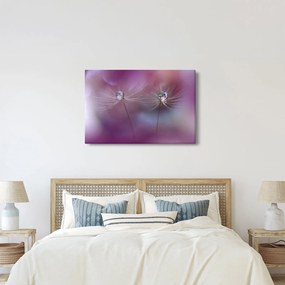 Obraz kvapôčok na páperí (90x60 cm)
