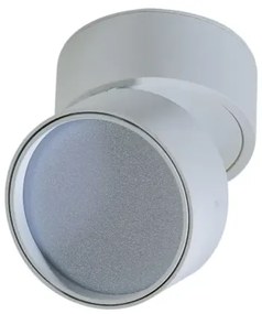LED bodové svetlo Mona 18W 3000K biele