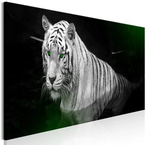 Artgeist Obraz - Shining Tiger (1 Part) Green Narrow Veľkosť: 150x50, Verzia: Premium Print