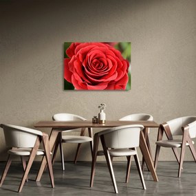 Sklenený obraz kvetu ruže (70x50 cm)