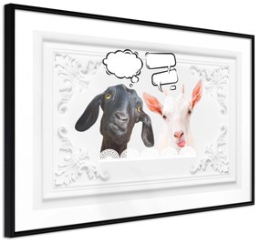 Artgeist Plagát - Funny Goats [Poster] Veľkosť: 60x40, Verzia: Čierny rám