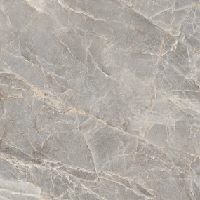Dlažba Majestic Grey Silky 120x120 R