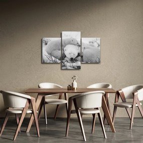 Obraz - Ľadové medvede (90x60 cm)