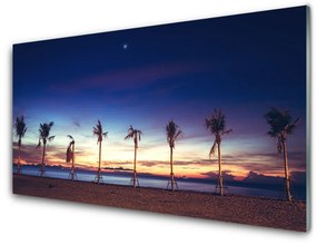 Obraz na akrylátovom skle Palma strom more krajina 100x50 cm