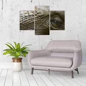 Obraz - Detailné fotografie starého slonieho oka (90x60 cm)