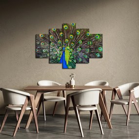 Obraz - Páv (150x105 cm)