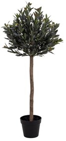 HOUSE NORDIC Dekoratívna rastlina Olive Tree 120 cm